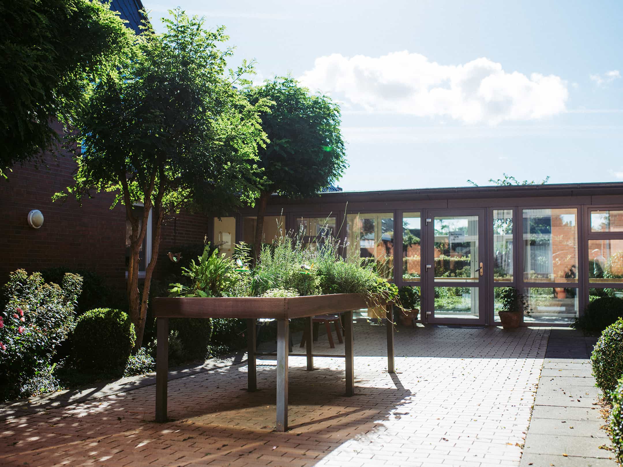 Palliativfachkraft (m/w/d) - Wir haben den passenden Job für Dich! - DRK Pflegewohnanlage Haus Sprackelbarg - Praxia