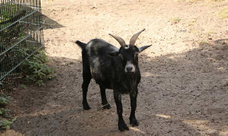 Stellvertretende Wohnbereichsleitung (m/w/d) - Gestalte mit uns gemeinsam die Zukunft! Berlin - Senioren- und Therapiezentrum Haus Havelblick - Praxia