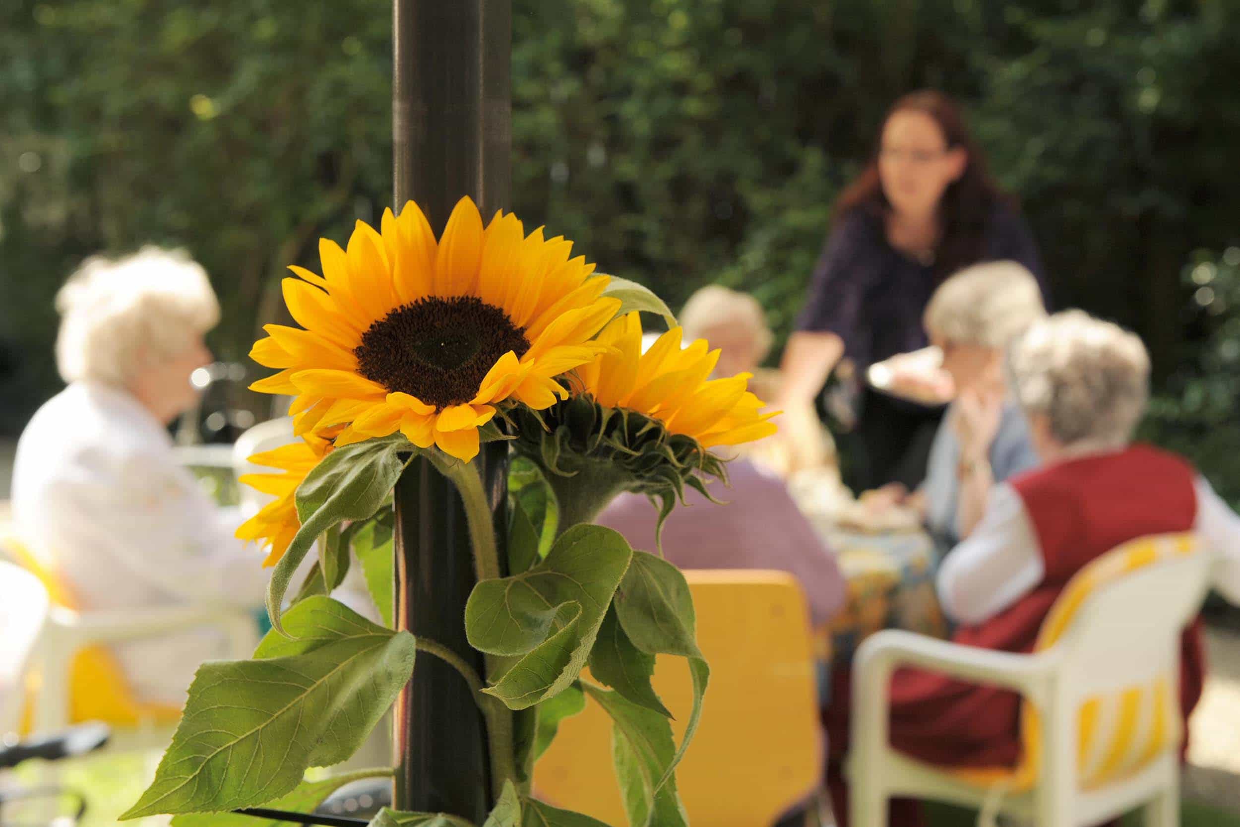 Pflegefachkraft (m/w/d) - Qualität als hohen Stellenwert! Kiel - Seniorenzentrum Kaiser Wilhelm I. Stift - Praxia