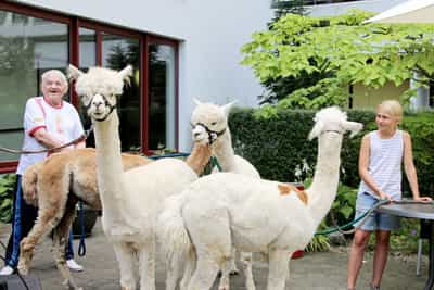 Pflegefachkraft (m/w/d) - Berufschancen und Perspektiven! Heidelberg - AGAPLESION MARIA VON GRAIMBERG - Praxia