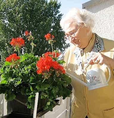 Pflegefachkraft (m/w/d) - Dein neuer Arbeitsplatz in einem eingespielten Team! Essen - Johannes-Heim - Praxia