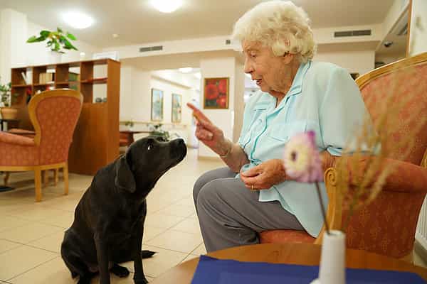 Pflegefachassistenz (m/w/d) - Werde unser Held! Schwerin - Vitanas Senioren Centrum Im Casino - Praxia