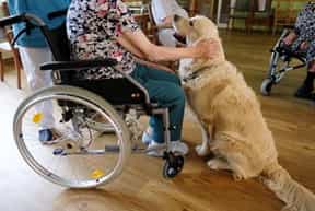 Pflegefachkraft (w/d/m) - Hier sind Sie willkommen!  - AWO Seniorenzentrum "Bürgerheim" - Praxia