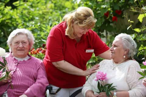 Pflegefachkraft (m/w/d) - Wir freuen uns auf Ihre Unterstützung!  Bamberg - Caritas-Pflegezentrum St. Walburga - Praxia