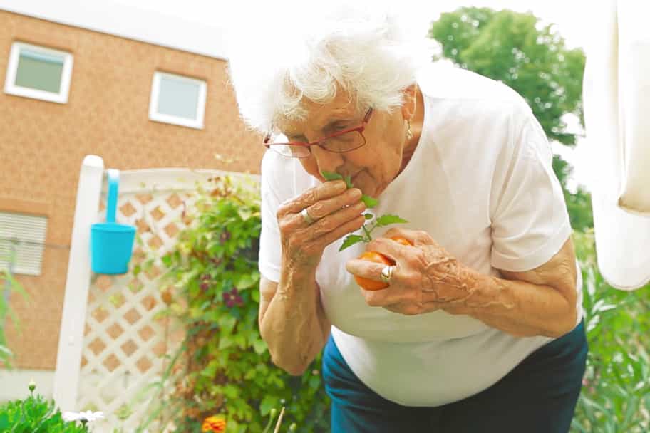 Altenpfleger:in als Springer:in (m/w/d) - Werde unser:e Held:in! Berlin - Vitanas Senioren Centrum Am Schäfersee - Praxia