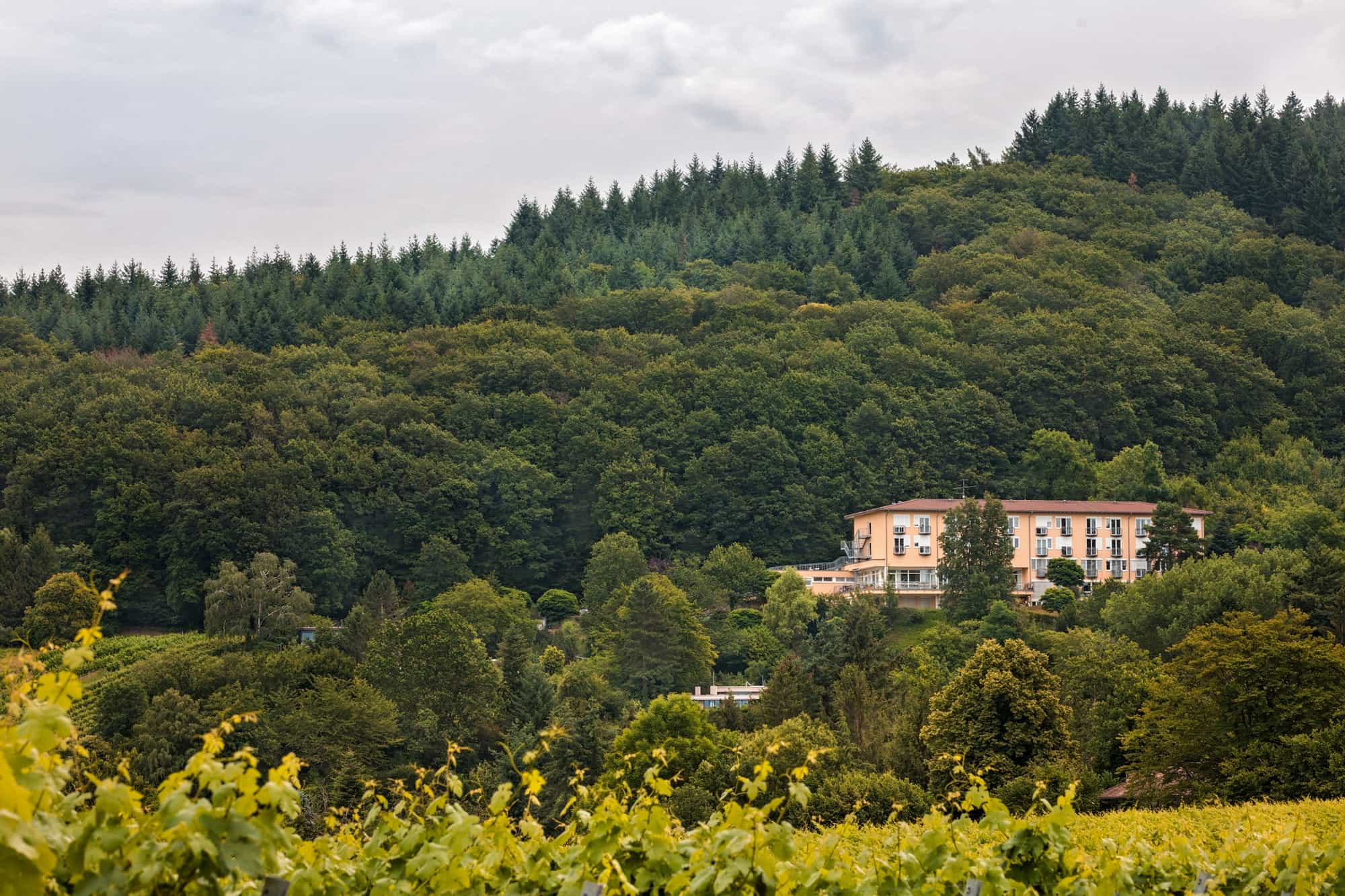 Geronto-Fachkraft (m/w/d) - Komm ins Team! - aczepta Haus Erich Fried - Praxia