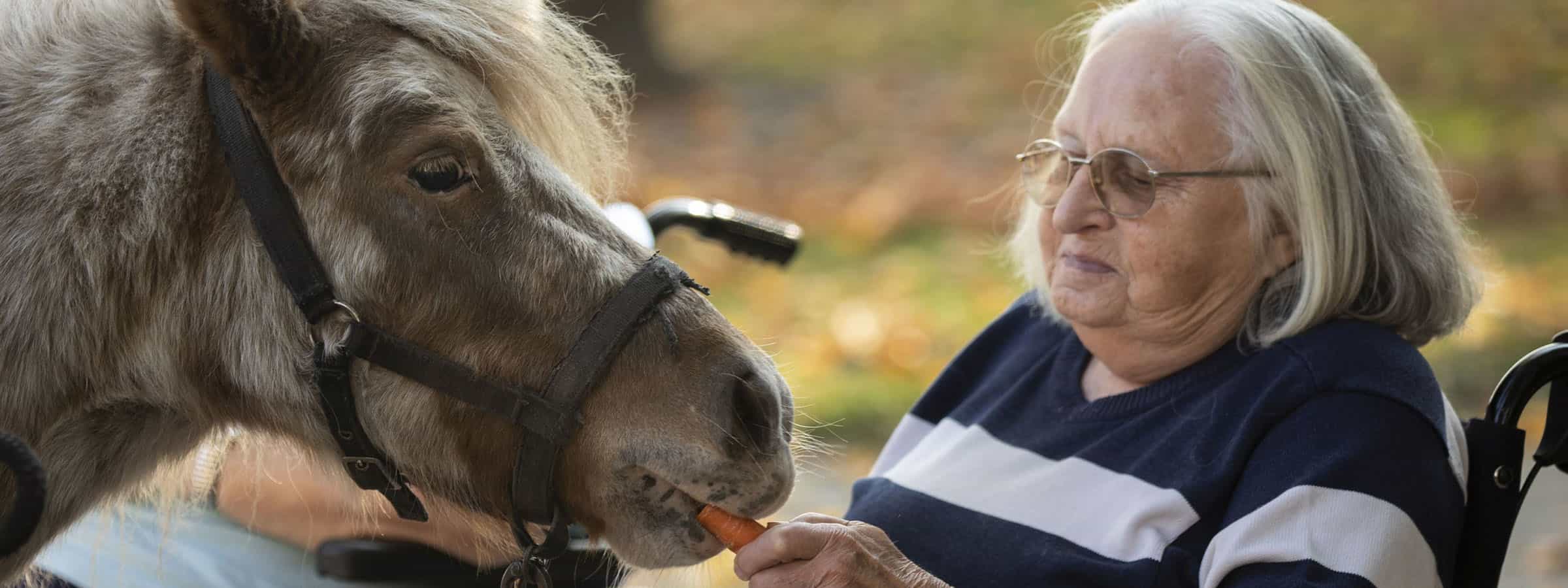 Stellvertretende Wohnbereichsleitung (w/d/m) - Wir wollen Dich bei uns haben! Peine - Altenpflegeheim Woltorf - Praxia