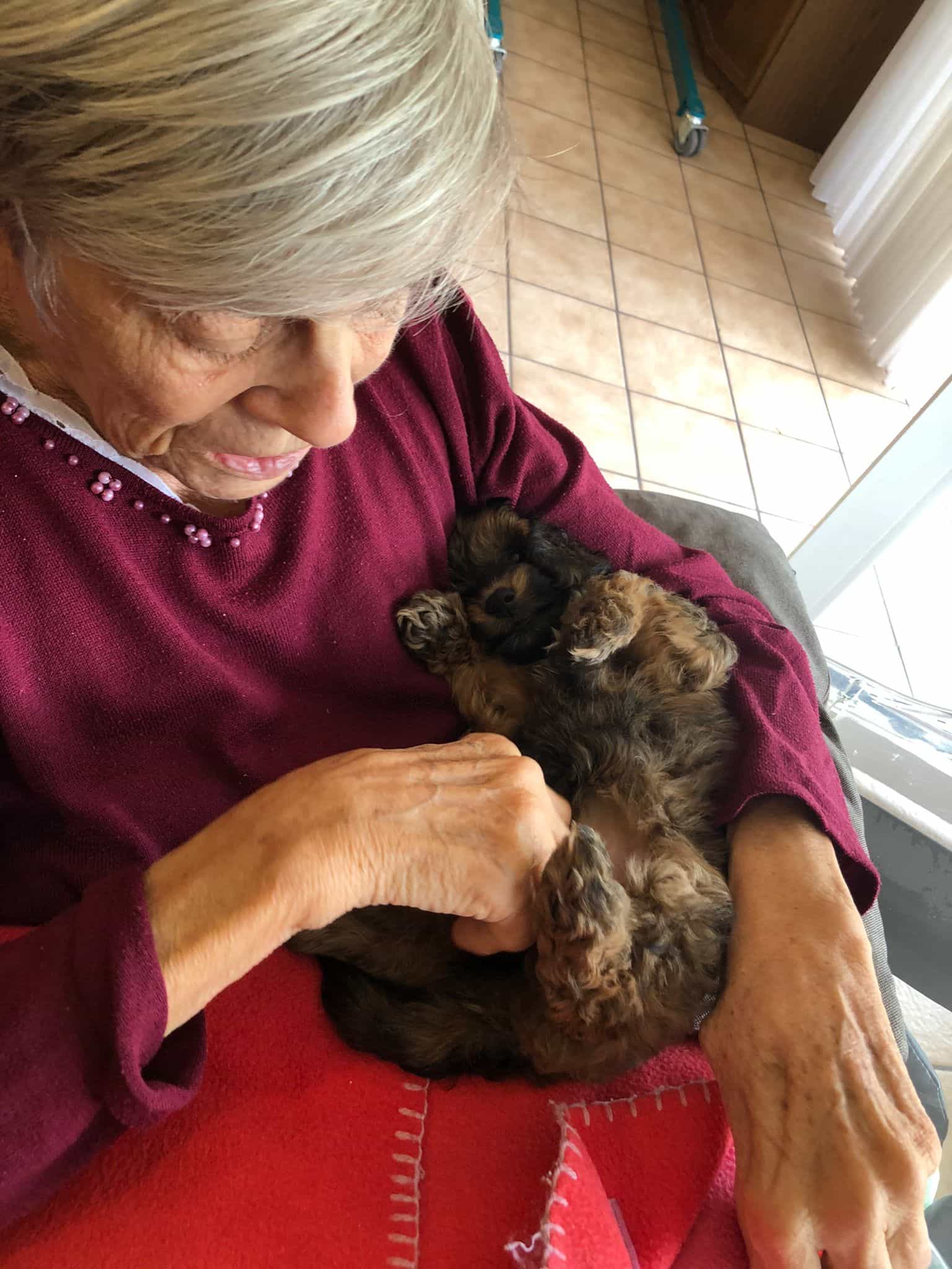 Pflegefachkraft (w/m/d) - Wir suchen Dich! Düsseldorf - Gemeinnützige Stiftung für Seniorenbetreuung Angermund Ambulante Pflege - Praxia