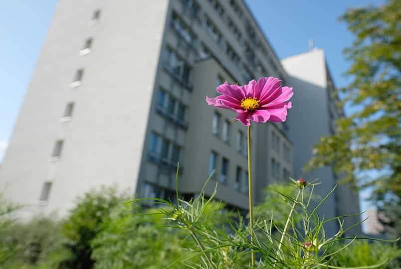 Pflegefachkraft (m/w/d) - Werden Sie unser Herzstück! Leipzig - AWO Seniorenzentrum "Clara Zetkin" - Praxia