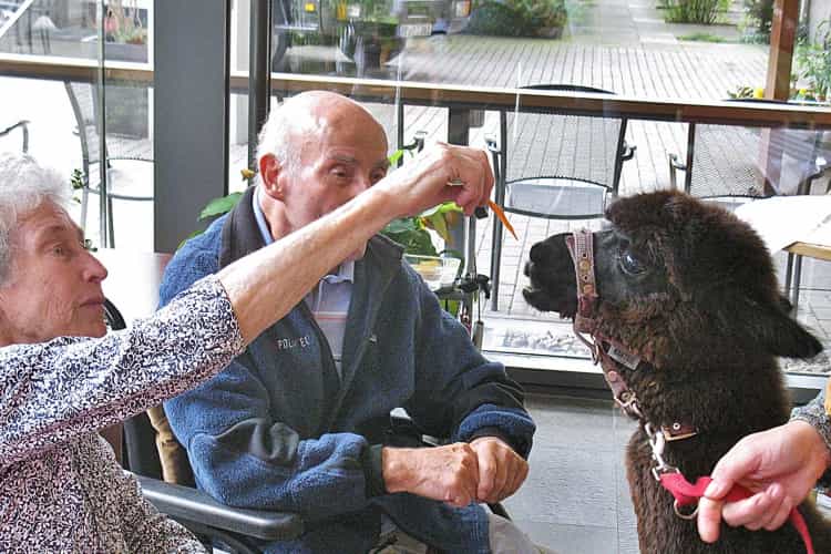 Wohnbereichsleitung (m/w/d) - Wir suchen Zuwachs in unserem Team! Hamburg - Diesterweg-Stiftung - Praxia