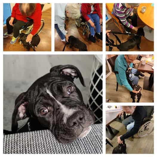 Pflegefachkraft (m/w/d) - Teamarbeit ist bei uns das A und O! Kisdorf - AMICALIS - Pflegezentrum Kisdorf - Praxia