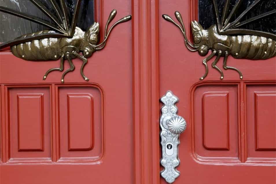 Pflegefachkraft (m/w/d) in Voll- und Teilzeit - Komm' zu uns in Team! Löbau - Pflege mit Herz Ivette Riegel - Praxia