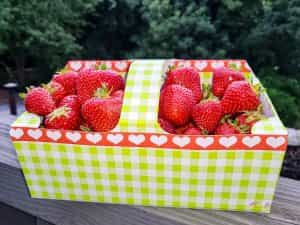 Gelernte Pflegehilfskraft (m/w/d) - Bei uns kannst Du Dich geborgen fühlen! Oberkirch - Seniorenzentrum St. Barbara Oberkirch - Praxia