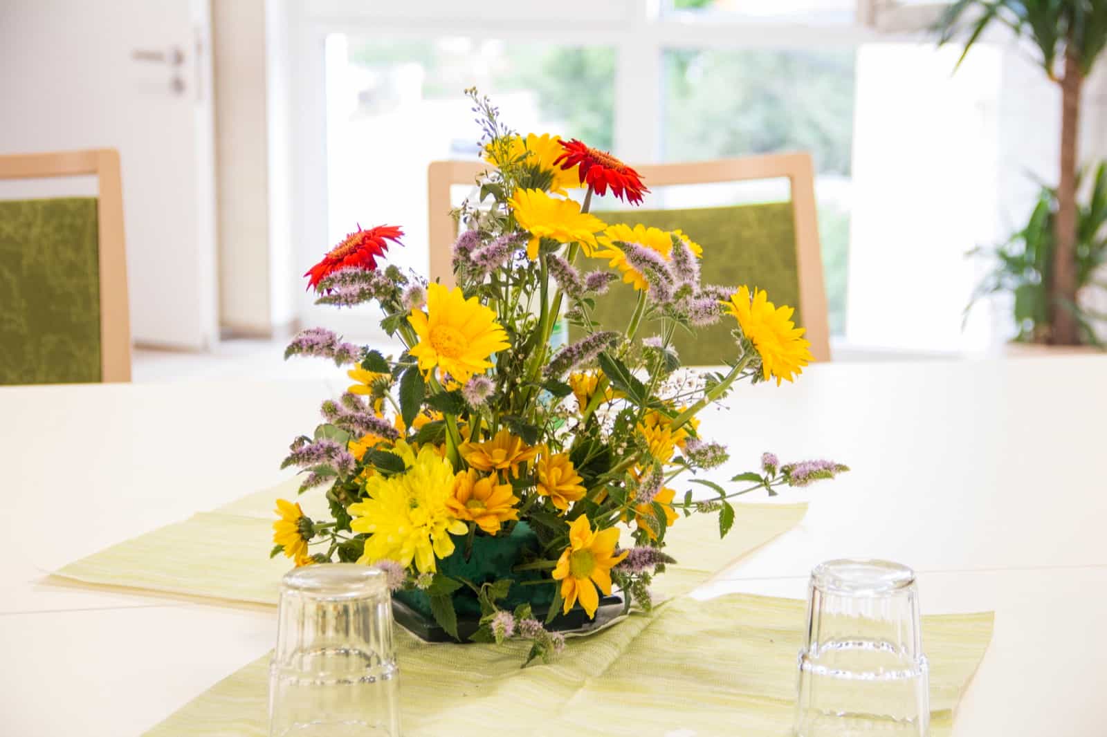 Gelernte Pflegehilfskraft (m/w/d) - Bei uns kannst Du Dich geborgen fühlen! Oberkirch - Seniorenzentrum St. Barbara Oberkirch - Praxia