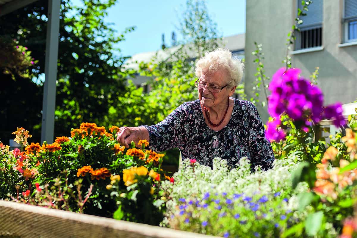 Pflegefachkraft (m/w/d) - Dein neuer langfristiger Arbeitsplatz! Dresden - Vitanas Senioren Centrum Am Blauen Wunder - Praxia