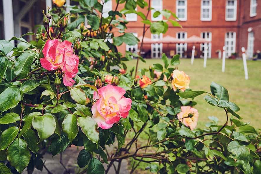 Pflegefachkraft (m/w/d) für den Nachtdienst - Der Lindenpark braucht Unterstützung! - Johanniter-Haus Lindenpark - Praxia