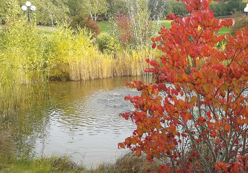 Gelernte Pflegehilfskraft (m/w/d) - Hier kannst Du Dich wohlfühlen! Lübeck - Hanse-Residenz Lübeck  - Praxia