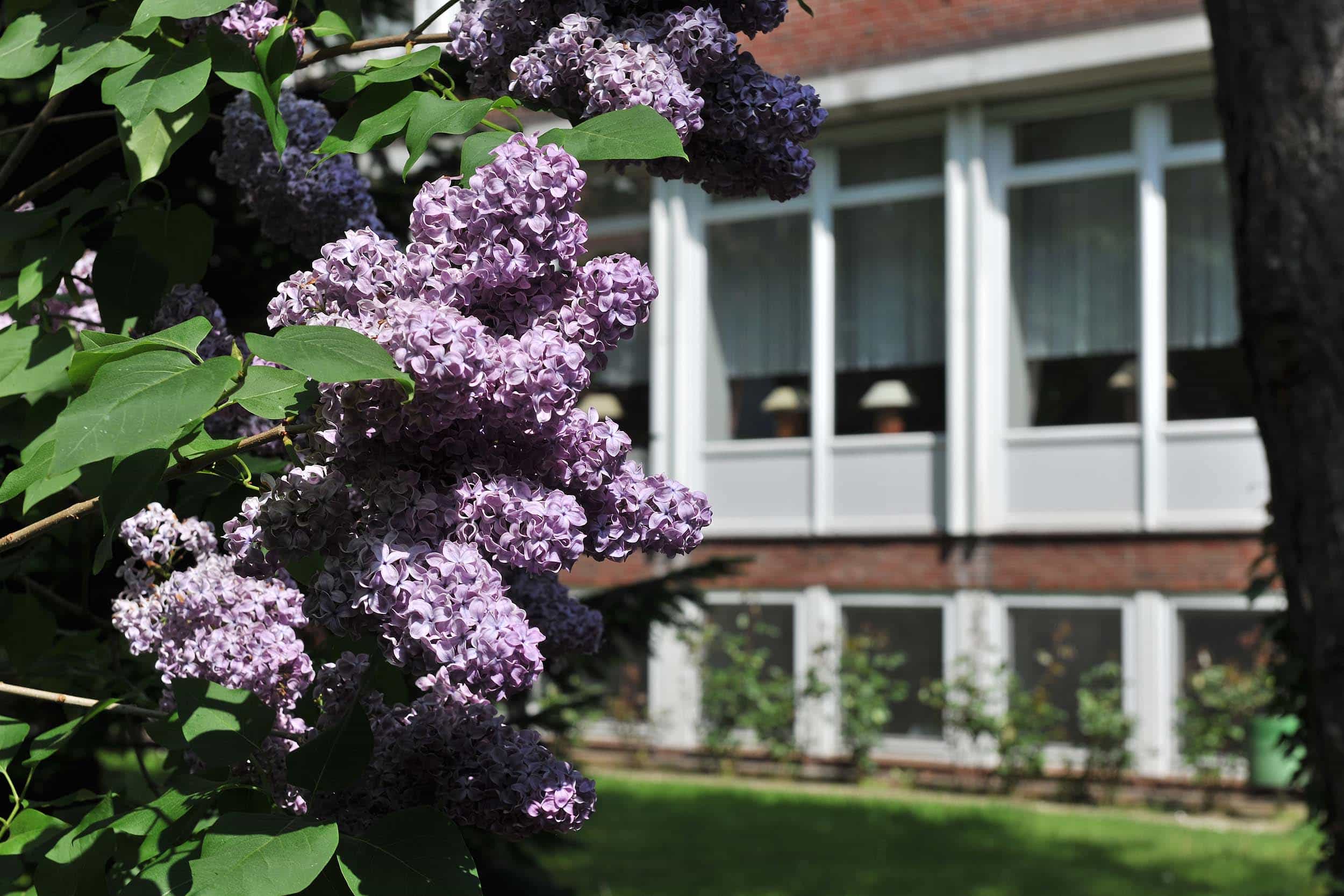 Pflegefachkraft (m/w/d) - Qualität als hohen Stellenwert! Kiel - Seniorenzentrum Kaiser Wilhelm I. Stift - Praxia