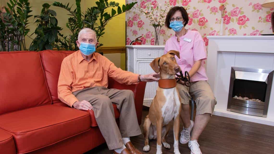 Pflegefachkraft (m/w/d) - Werde Teil des DRKs! Brüggen - DRK-Seniorenzentrum Brüggen-Bracht - Praxia