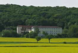 Pflegefachkraft (m/w/d) - Wir freuen uns auf Sie!  - DRK Pflegezentrum Laucha - Praxia