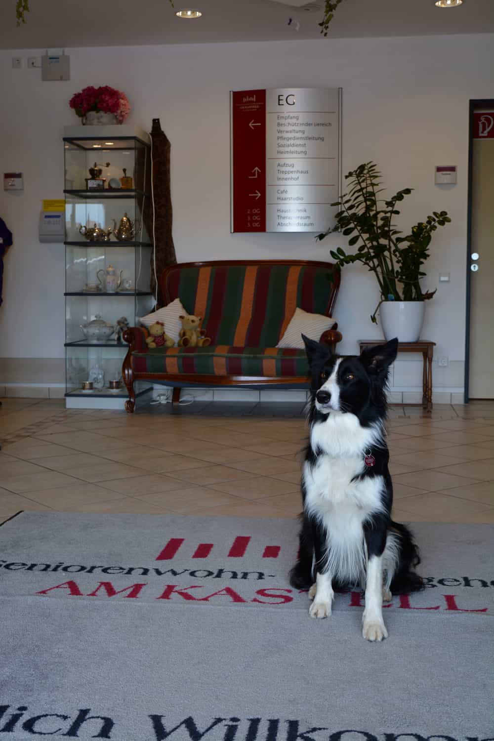 Pflegefachkraft (m/w/d) als Dauernachtwache - Wir wollen Dich begeistern! Groß-Gerau - Seniorenwohn- und Pflegeheim "Am Kastell" - Praxia