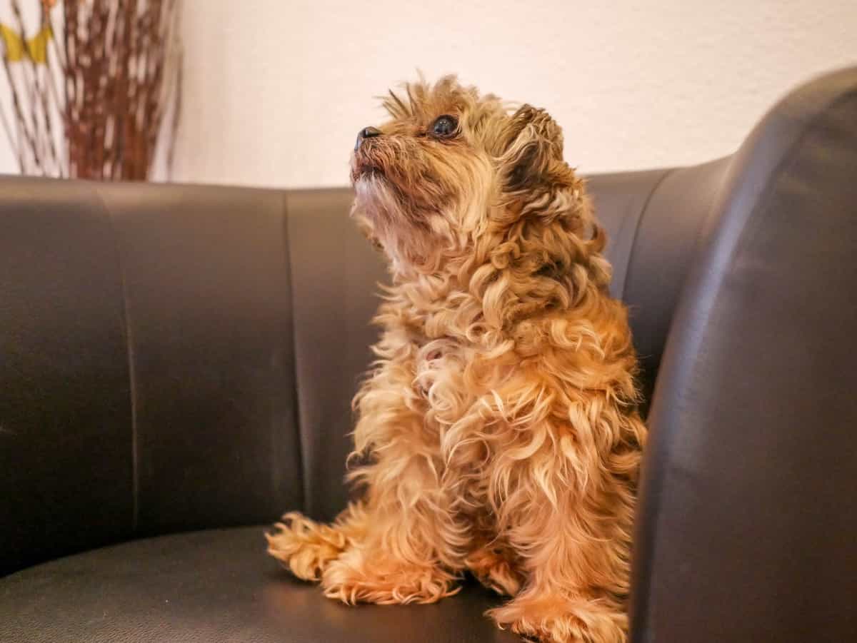 Pflegefachkraft (m/w/d) - Wir freuen uns auf Dich! Hamburg - APS Ambulanter Pflegeservice - Praxia