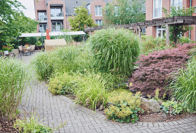 Pflegefachkraft mit Interesse an der Weiterbildung zur Praxisanleitung (m/w/d) - Wir freuen uns auf Sie! Kaarst - Johanniter-Zentrum Kaarst - Praxia