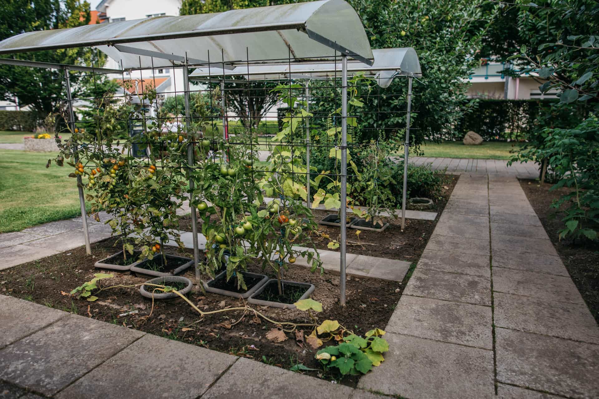 Pflegefachassistent:in  (m/w/d) – Wir kommen Ihnen mit Wertschätzung entgegen! - Haus St. Elisabeth Anröchte - Praxia