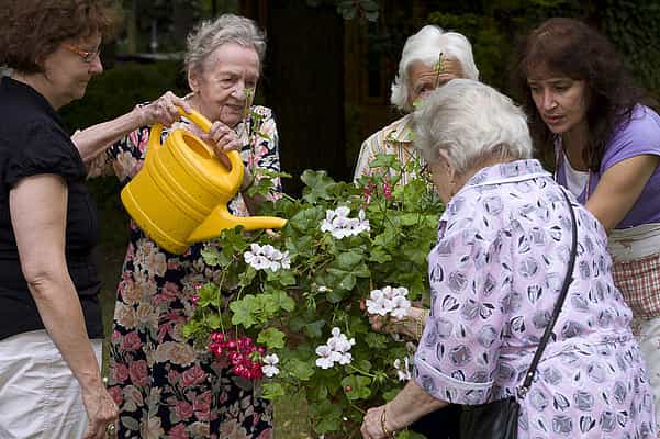 Pflegefachkraft (m/w/d) - Werde unser Held! Berlin - Vitanas Senioren Centrum Frohnau - Praxia