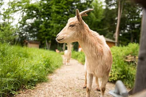 Reiselustige Pflegefachkraft (m/w/d) für unseren FlexPool in der Region Südbayern - Wir suchen Zuwachs in unserem Team! Burtenbach - RDA Diakoniezentrum Schertlinhaus - Praxia