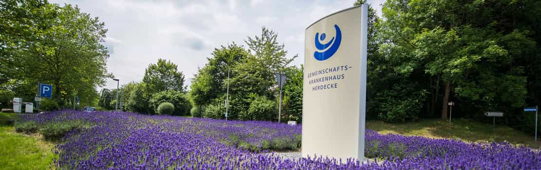 Pflegefachkraft mit pädiatrischer Vertiefung (m/w/d)  für die allgemeine Kinderstation - Wir stehen für eine menschenwürdige Pflege! Herdecke - Gemeinschaftskrankenhaus Herdecke - Praxia