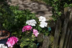 Wohnbereichsleitung (m/w/d) - Werde unser:e Held:in! Berlin - Vitanas Senioren Centrum Rosengarten - Praxia