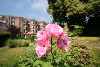 Pflegefachkraft (w/m/d) - Hier bist Du richtig! Grevenbroich - Seniorenhaus Lindenhof - Praxia