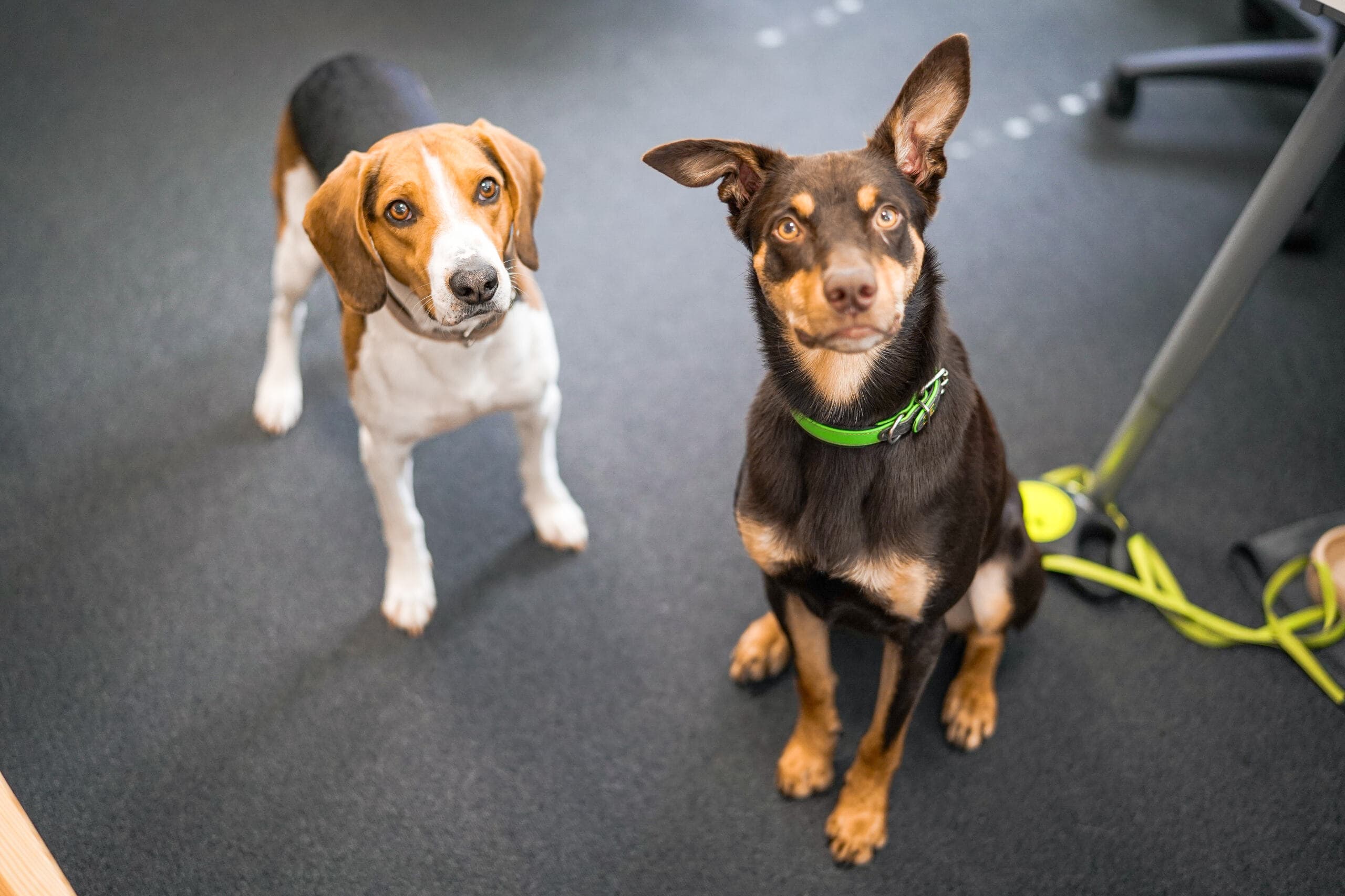 Entspannende Büroumgebung