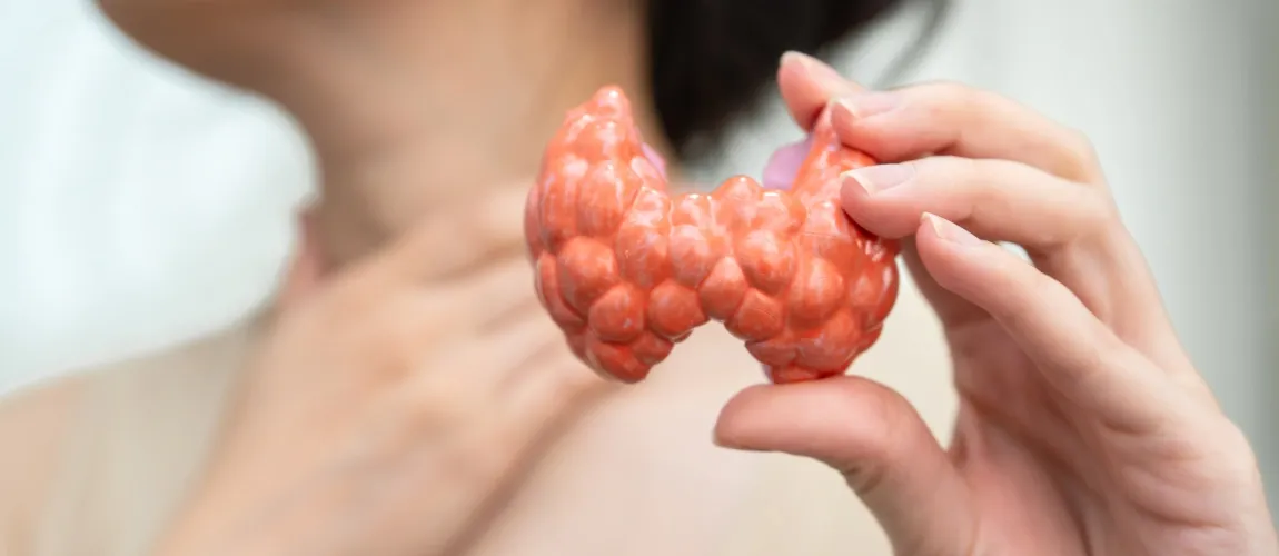 Symptome der Schilddrüsenunterfunktion - Frau zeigt Abbildung einer Schilddrüse