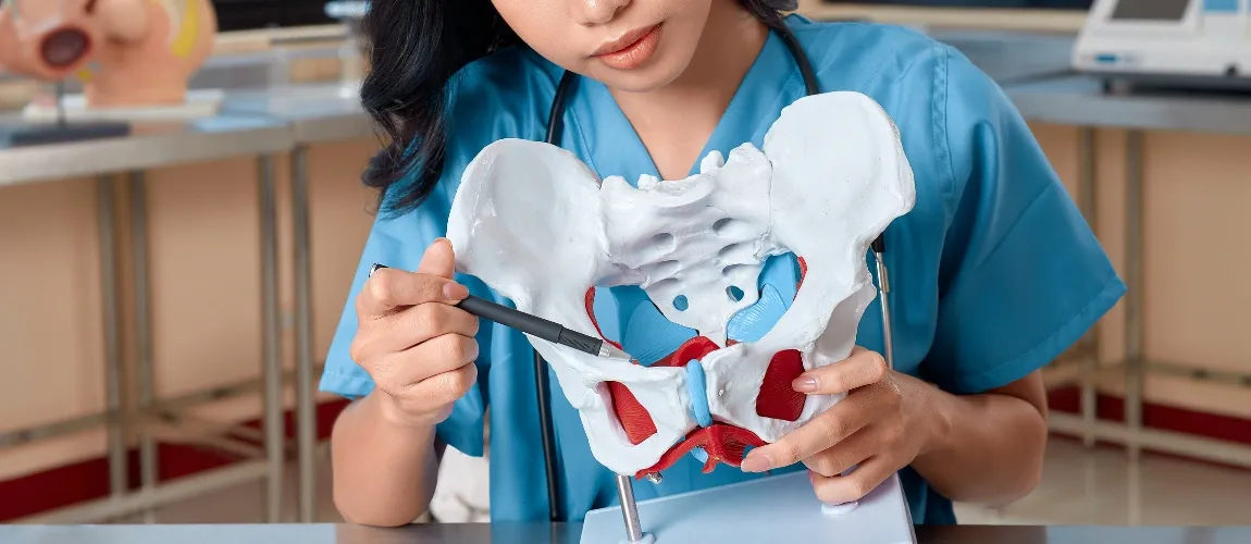 Eine Frau zeigt mit einem Stift auf ein Modell des menschlichen Beckens.