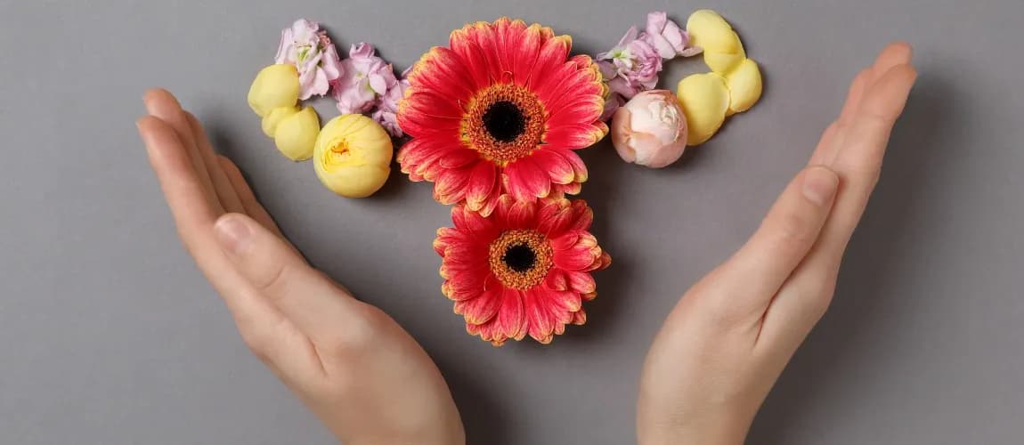Zwei Hände umrahmen eine Blütenformation.